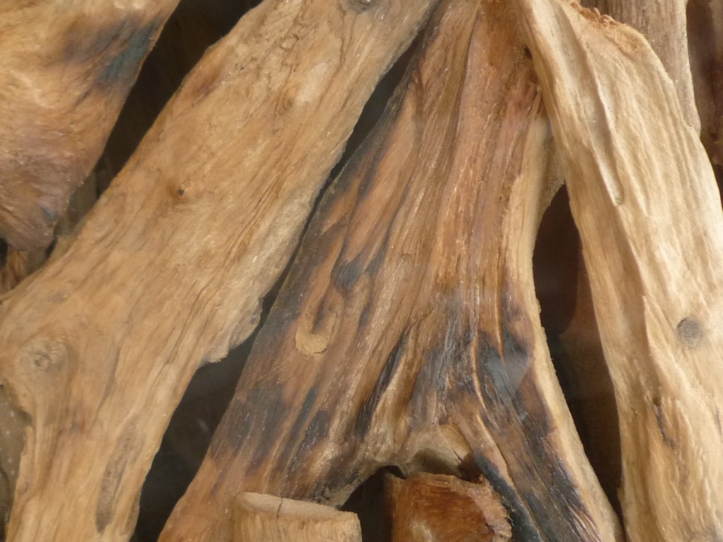 Apprendre à travailler le bois à l'Etablisienne