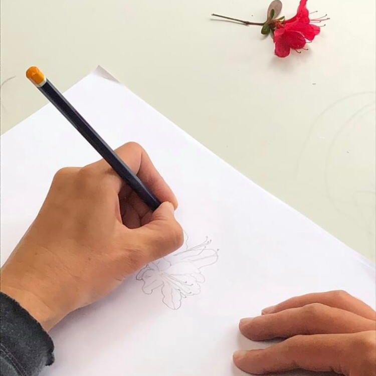 une main en train de dessiner une fleur sur une feuille blanche