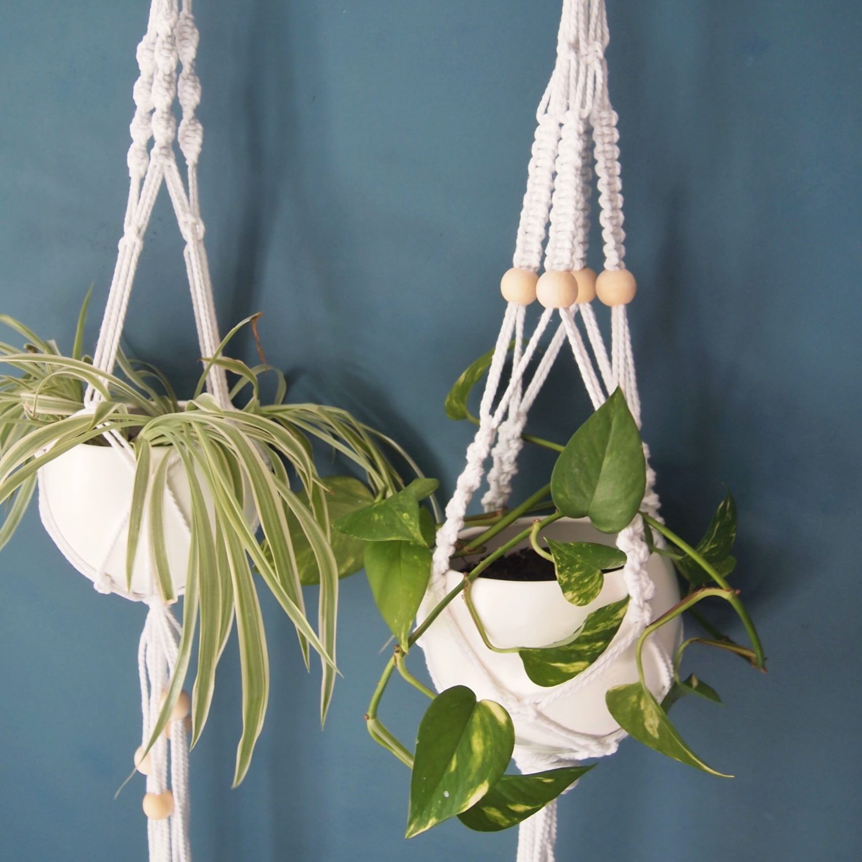 pots de fleurs avec des plantes accrochés à des murs grâce à des suspensions en macramé