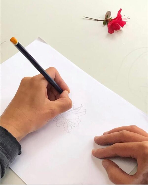 Un cadeau original, 2 cours de catégorie A au choix*
